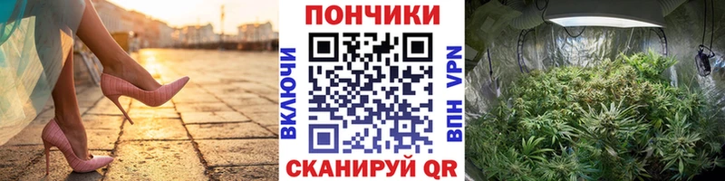  COCAIN Мураши