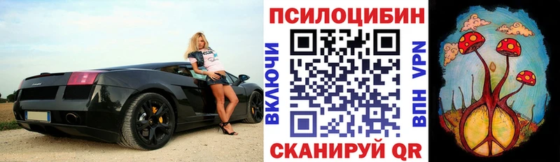 хочу наркоту  Мураши  Галлюциногенные грибы ЛСД 